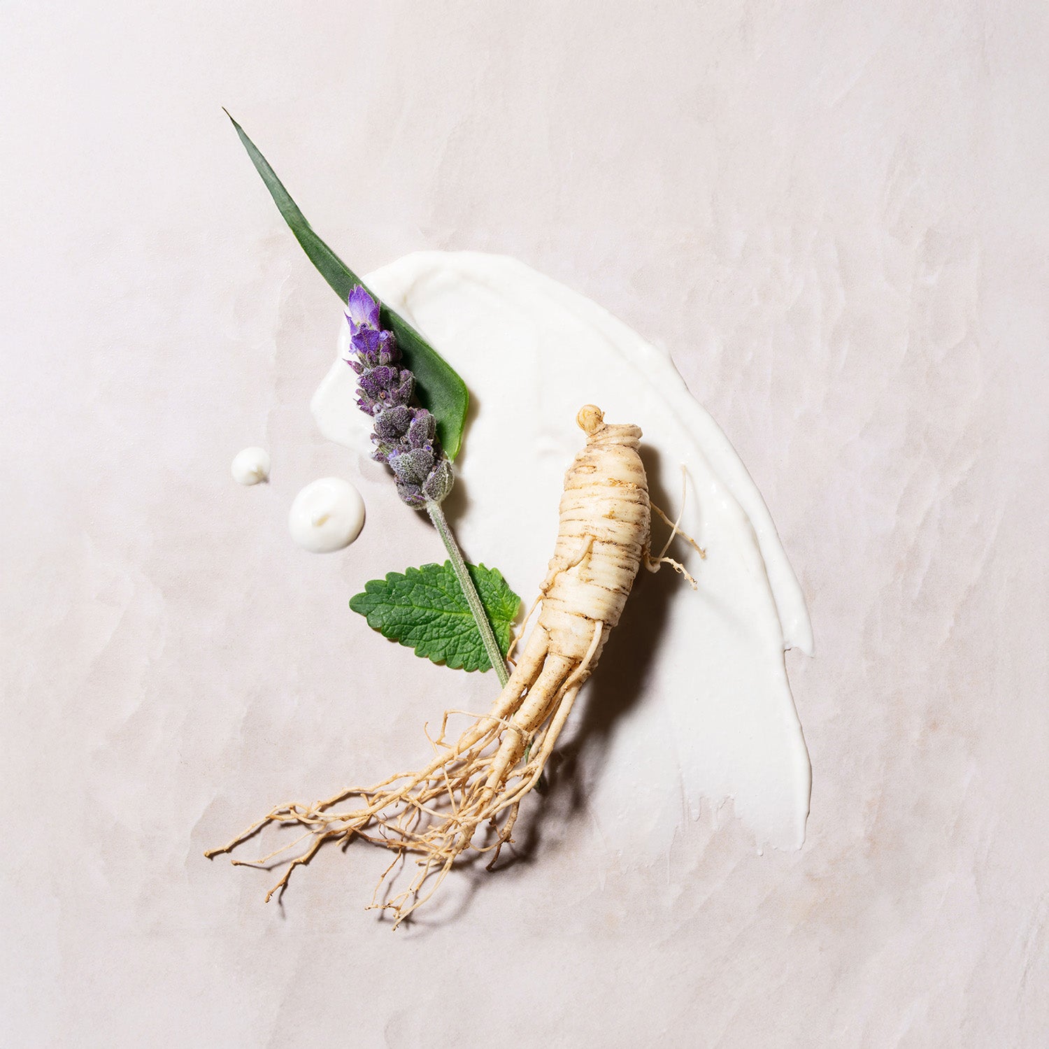 Ginseng, lavender, mint, and cream on a light background.